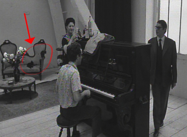 Cleo From 5 to 7 - two black kittens on sofa