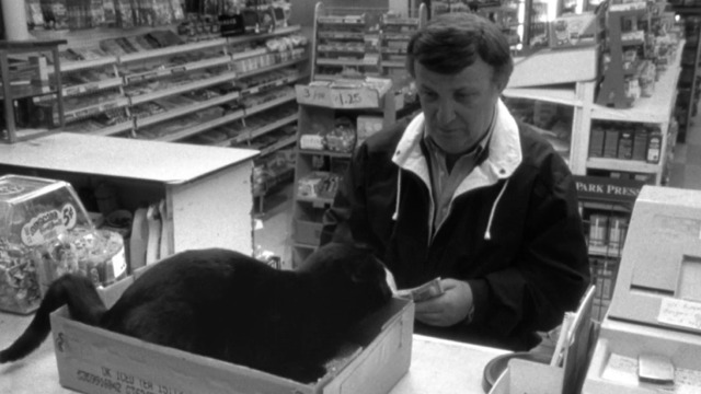 Clerks - black cat steps in litter box on counter in front of customer