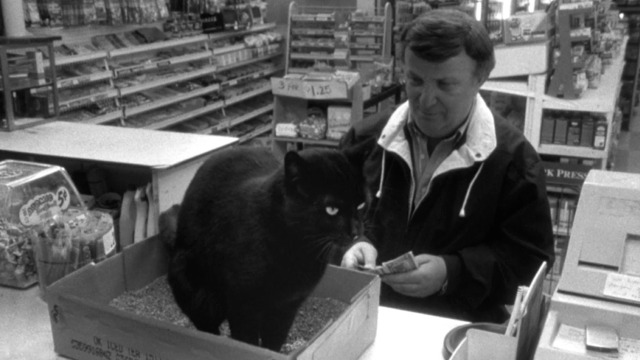 Clerks - black cat poops in litter box on counter in front of customer