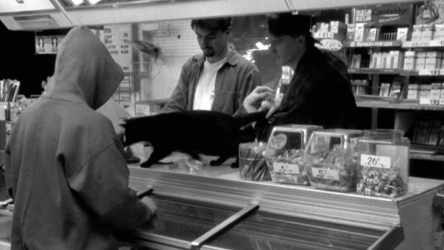 Clerks - black cat runs across counter in front of customer