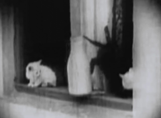 A Clever Dummy - black kitten knocks milk bottle off windowsill
