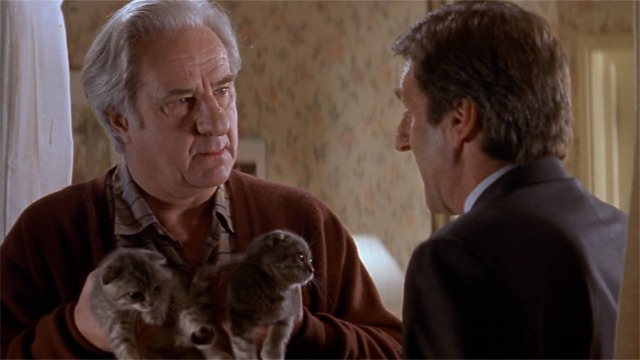 The Closet - Belone with two kittens