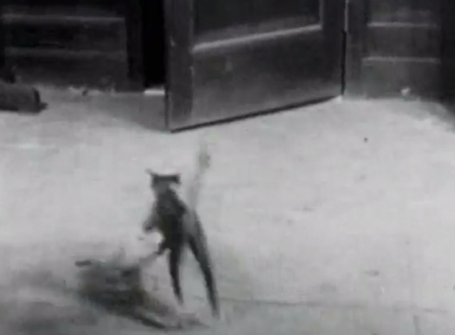The Clown's Little Brother - gray tabby kitten running for door