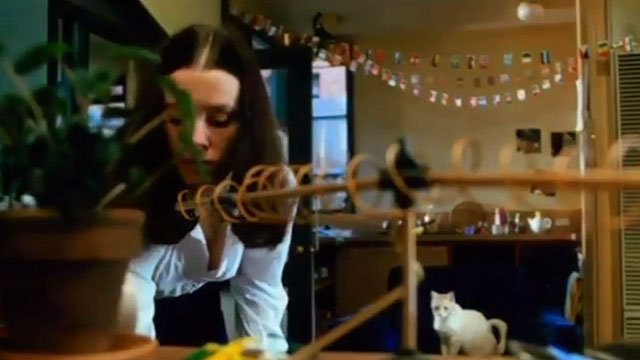 The Club - Susy Maggie Doyle with cream tabby cat in background