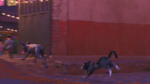 Coco - Pepita in cat form running up street with Dante dog