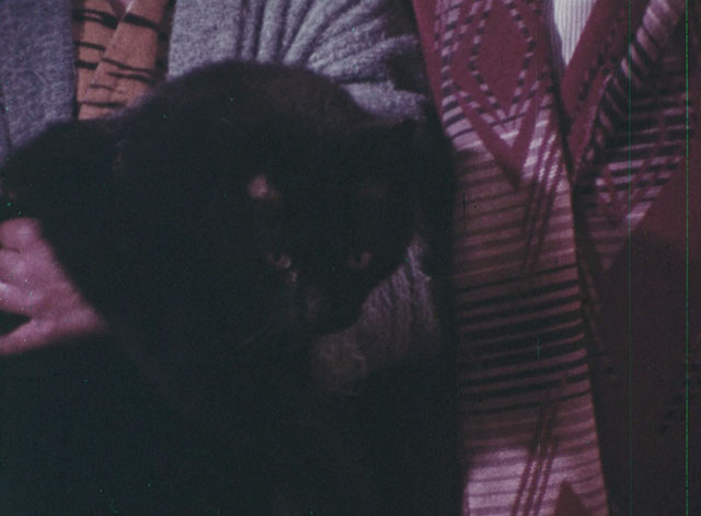 Color Me Red - close up of black cat in Steve's arms