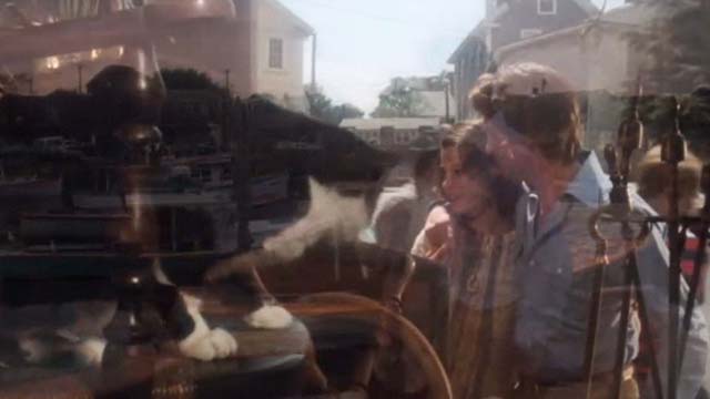 Coma - tuxedo cat in chair in antique store window with Susan Geneviève Bujold and Mark Michael Douglas
