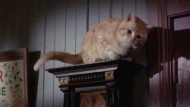 The Comedy of Terrors - Rhubarb Cleopatra ginger cat on top of clock