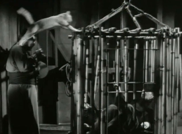 Confessions of an Opium Eater - Vincent Price in cage with man approaching outside with ginger tabby cat on roof