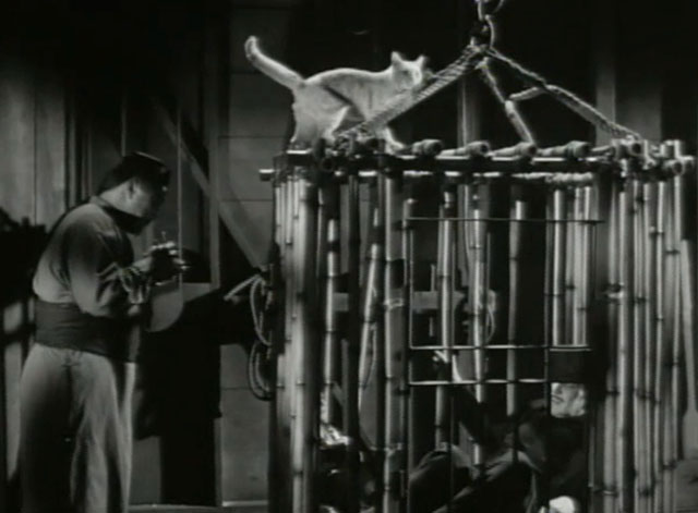 Confessions of an Opium Eater - Vincent Price in cage with man approaching outside with ginger tabby cat on roof