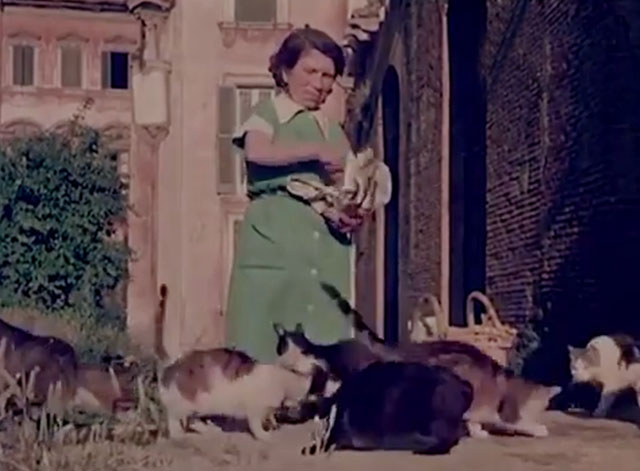 Confidenze di un gatto - numerous cats being fed by woman