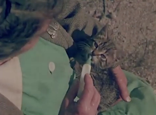 Confidenze di un gatto - women bottle feeding tabby kitten