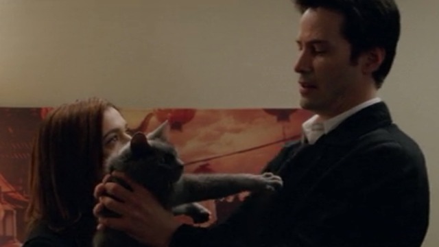 Constantine - Constantine Keanu Reeves picks up Russian Blue cat Duck