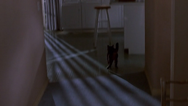 Cops and Robbersons - tabby cat Caruso running away