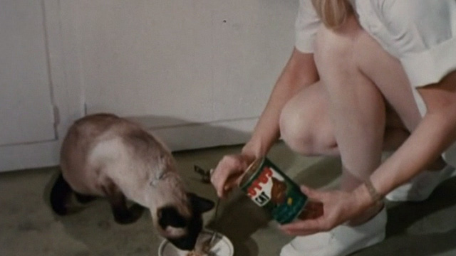 The Corpse Grinders - Siamese cat Baby Doll being fed Lotus cat food by Angie Monika Kelly