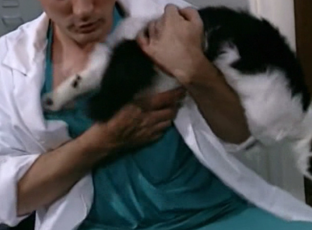 The Corpse Grinders 2 - tuxedo cat Kitty attacking Dr. Glass Paul MacDonald