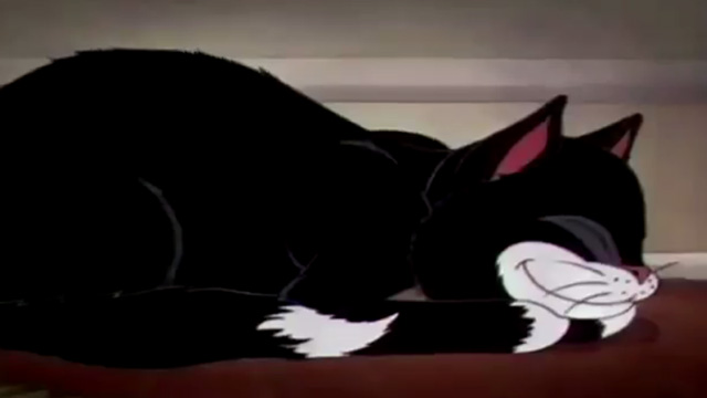 The Country Cousin - cartoon tuxedo cat sleeping