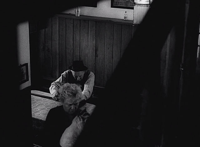 Courage for Every Day - Bytná Olga Scheinpflugová holding white and black cat Micinka with Eduard Václav Trégl