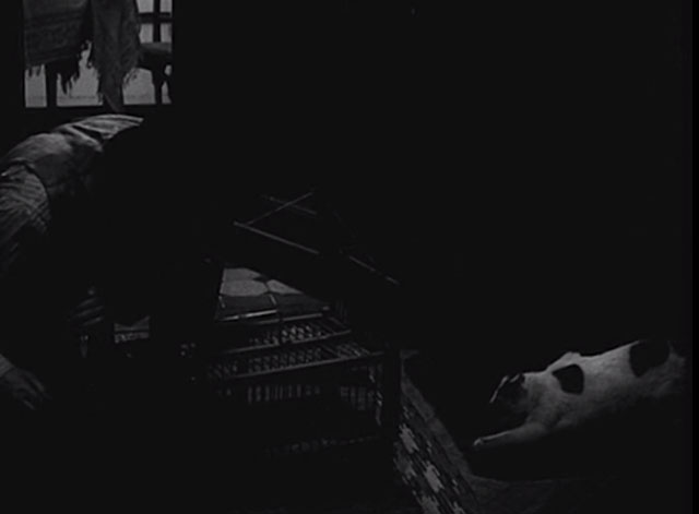 Courage for Every Day - Eduard Václav Trégl luring white and black cat Micinka into cage