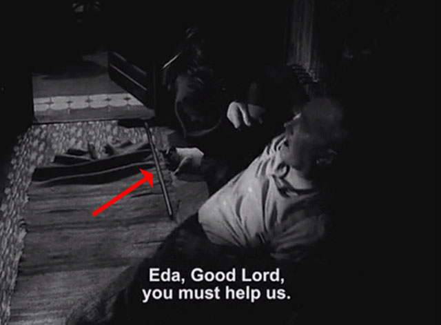 Courage for Every Day - Eduard Václav Trégl on floor with white and black cat Micinka