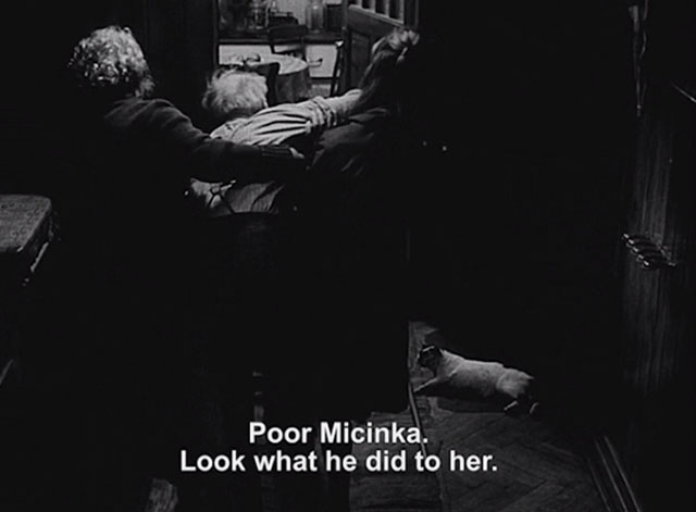 Courage for Every Day - Eduard Václav Trégl being helped with white and black cat Micinka injured on floor