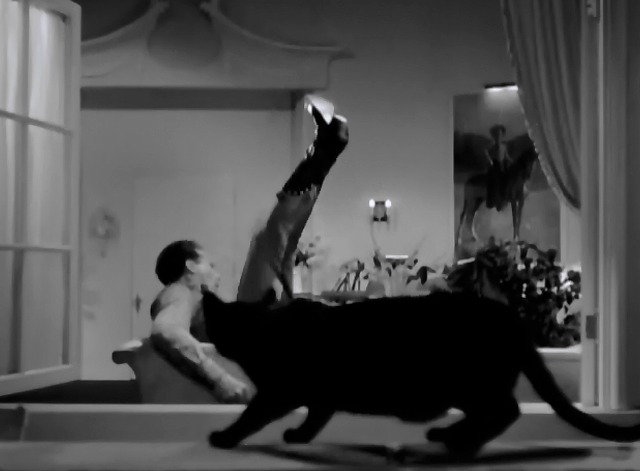 Cowboy from Brooklyn - black cat on hotel railing scares Dick Powell