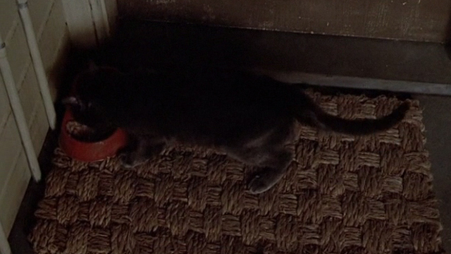 Crackers - gray cat eating out of dish