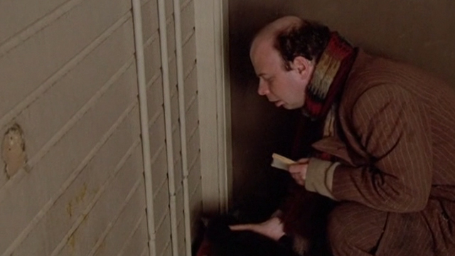 Crackers - Turtle Wallace Shawn pushing gray cat away from bowl of food