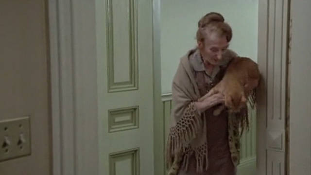 Crackers - Mrs. O'Malley Marjorie Eaton starting to set down orange tabby cat