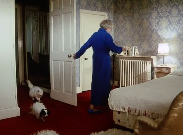 Craze - large longhair white cat and black and white dog entering bedroom behind Aunt Louise Edith Evans