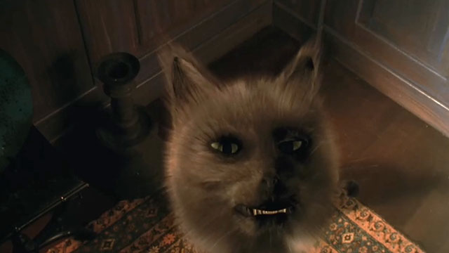 Crazy for Love - Max David Krumholtz seeing large face of CGI cat stretching up and talking to him animated gif