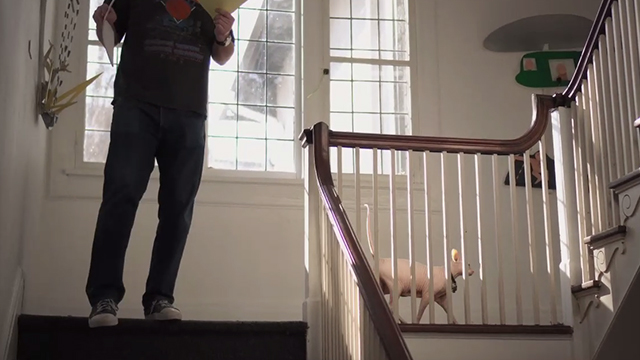Crazy, Not Insane - Sphynx cat on landing of stairs as son of Dorothy Otnow Lewis walks down