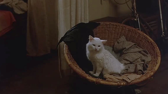 Creator - white cat Penelope on round chair