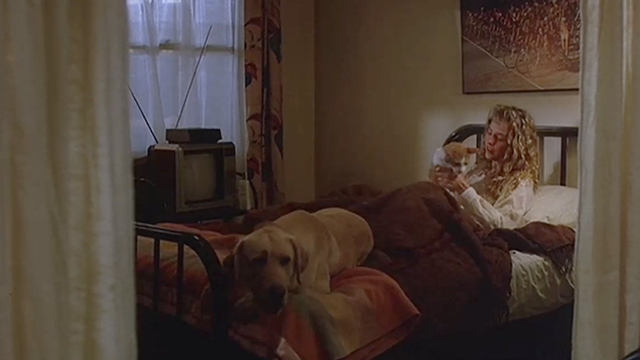 Creator - orange and white cat Ulysses in bed held by Barbara Virginia Madsen with dog Agamemnon