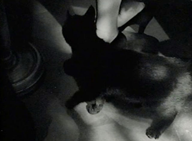 The Creeper - black cat by Nora's feet under table