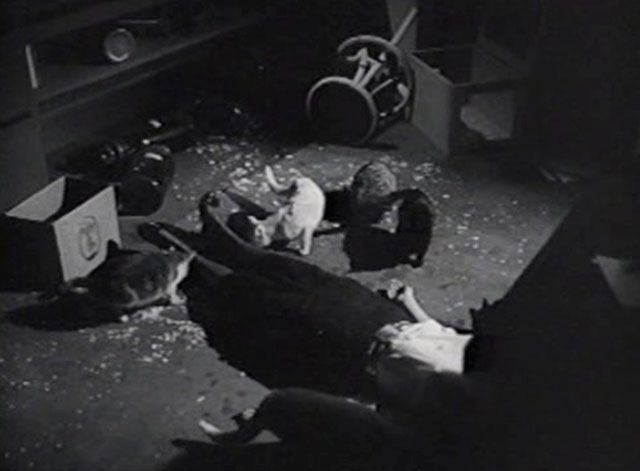 The Creeper - Gwen lying on laboratory floor surrounded by numerous cats