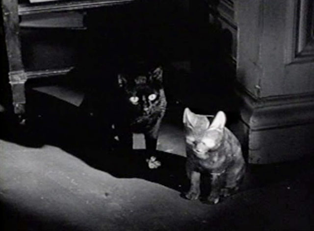 The Creeper - black cat with white paw sitting beside small cat statue