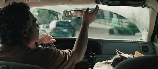 Crime 101 - gray tabby cat in file box in car with Lou Mark Ruffalo