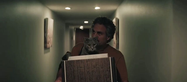Crime 101 - gray tabby cat in file box being carried by Lou Mark Ruffalo