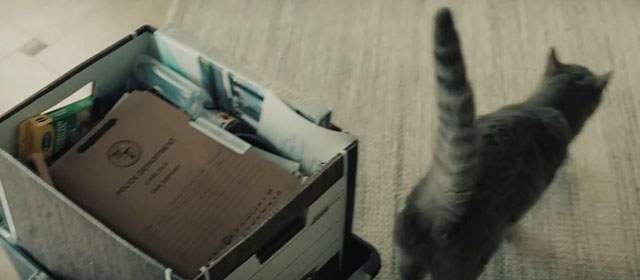 Crime 101 - gray tabby cat walking away from file box