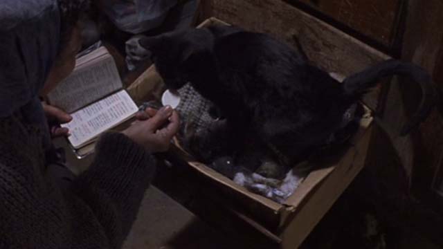 The Crime of Padre Amaro - Dionisia feeding sacrament wafer to black cat