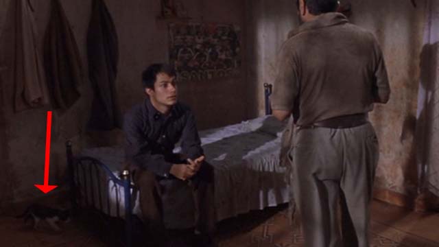 The Crime of Padre Amaro - tuxedo kitten crossing floor beneath bed with Father Amaro Goel Garc&iacute;a Bernal and sexton