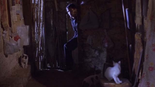 The Crime of Padre Amaro - cats in Dionisia's home when Father Amaro Goel García Bernal enters