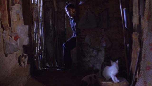 The Crime of Padre Amaro - cats in Dionisia's home when Father Amaro Goel Garc&iacute;a Bernal enters
