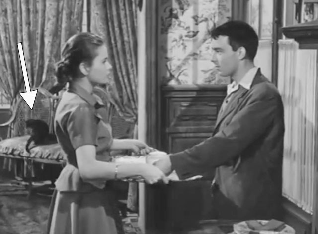 Crime et chatiment - tabby cat on couch behind Nicole Ulla Jacobson