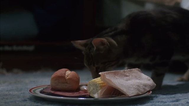 Critters - Bengal tabby cat Chewie eating from plate on floor