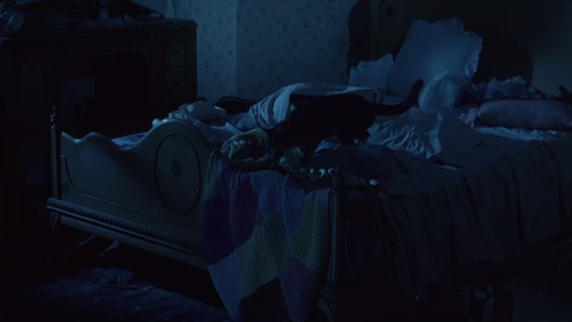 Critters - Bengal tabby cat Chewie on bed