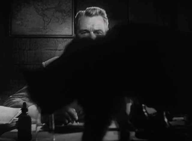 The Crooked Way - Vince Sonny Tufts looking at longhair tabby cat Sampson on his desk