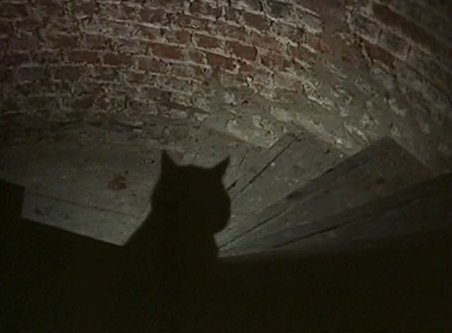 Cry Wolf - cat moving down spiral staircase