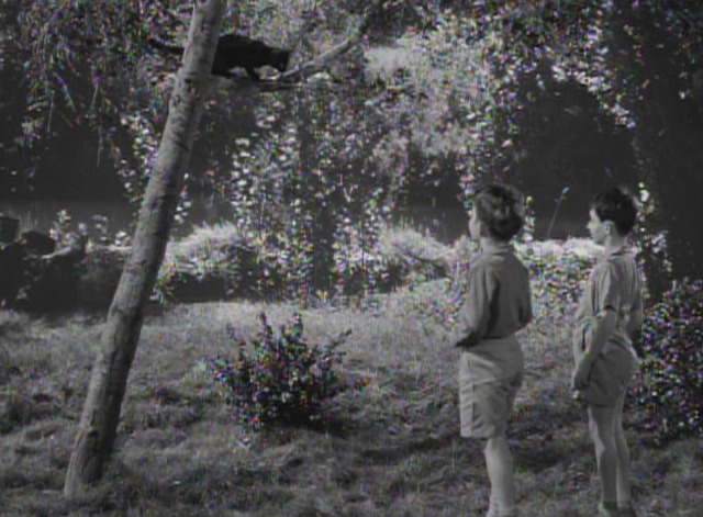 Curse of the Cat People black cat in tree with kids